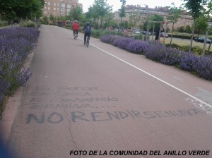 Pintada en carril bici de Madrid